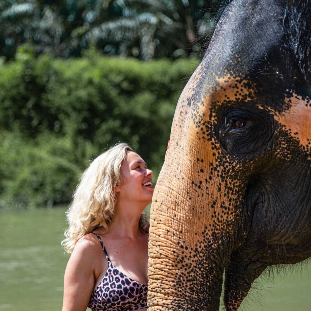 Khao Sok Day trip with Elephant Bathing