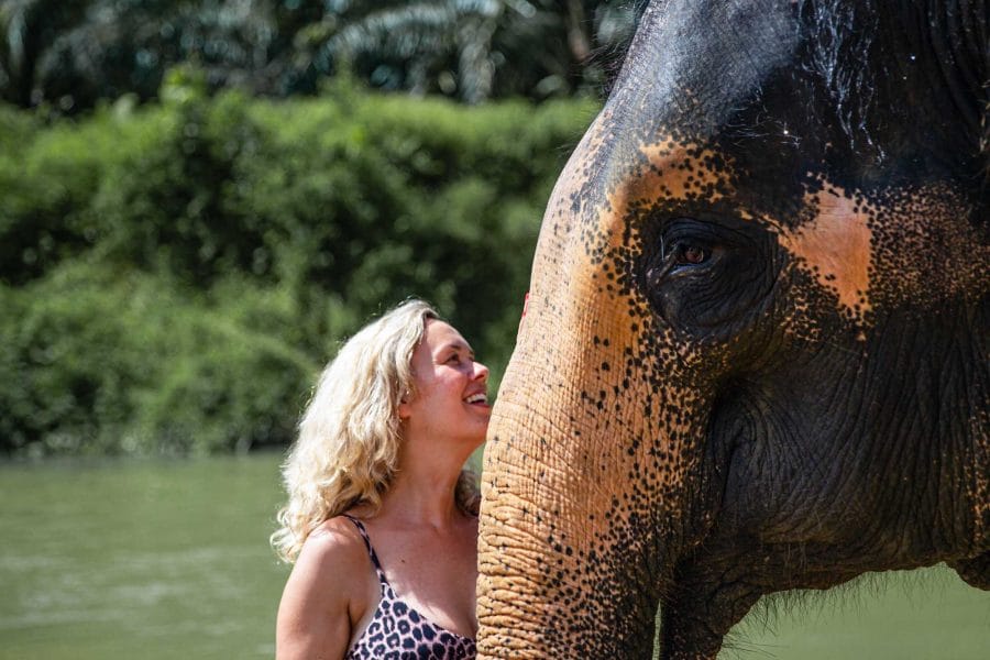 Excursion D'Une Journée À Khao Sok Avec Bain D'Éléphants
