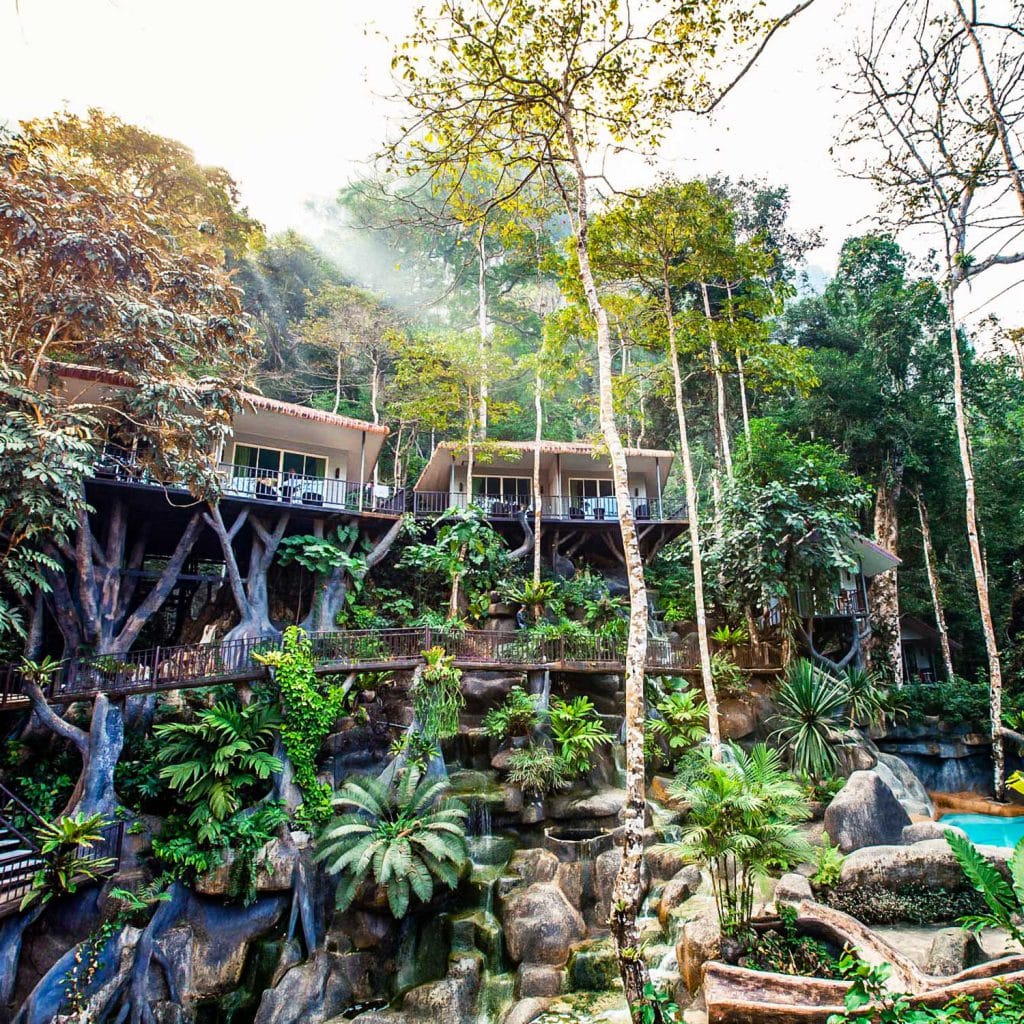 Khao Sok Tree house - Rock and Tree house Resort
