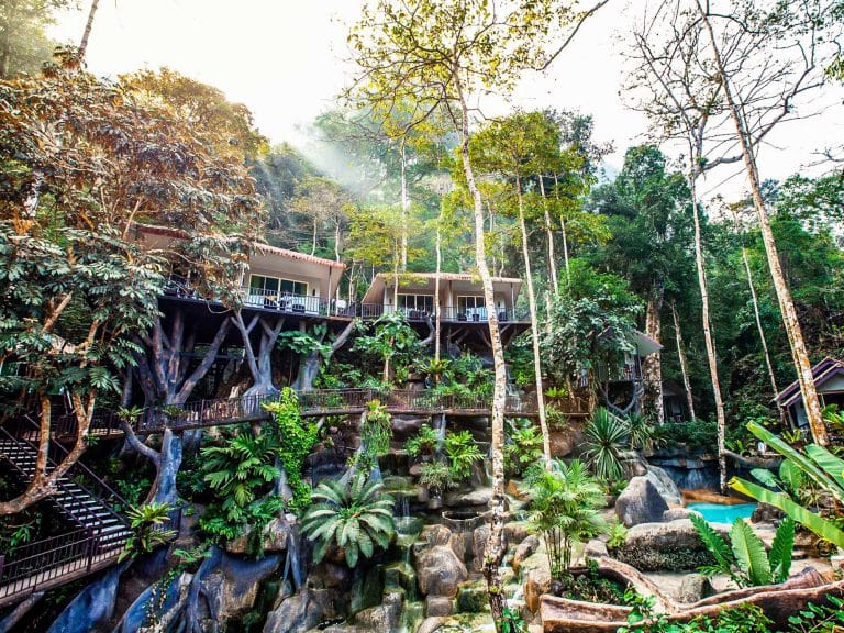 2 jours Bungalows dans les arbres à Khao Sok– Découvrez le parc national de Khao Sok et son lac