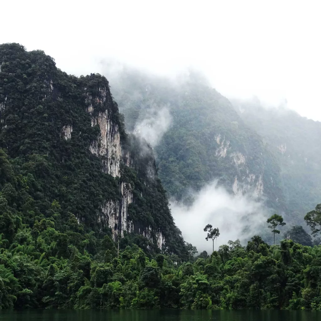 Cheow Lan Lake Khao Sok National Park Rain Forest