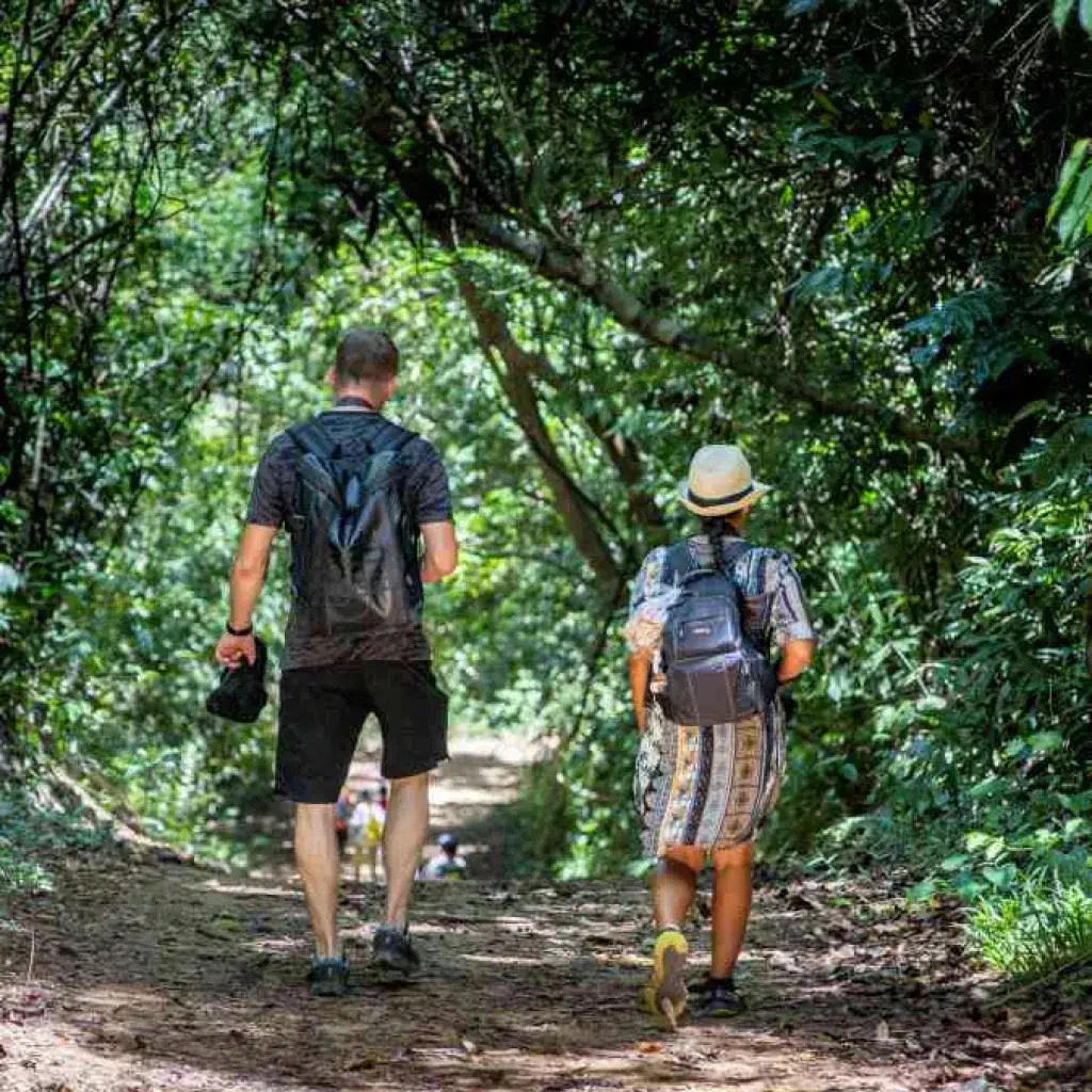Khao Sok Jungle Trekking