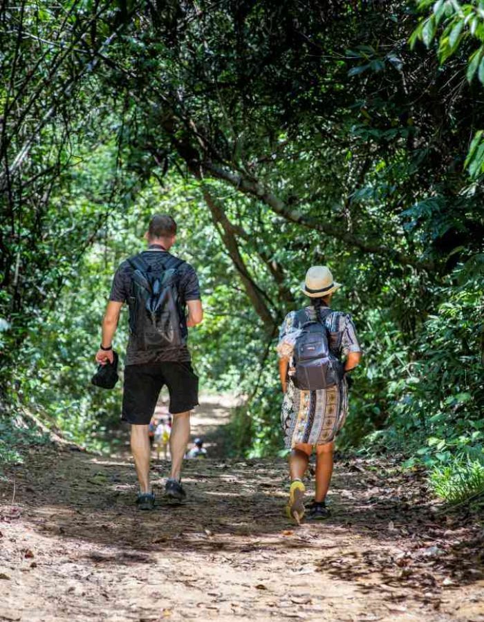 Khao Sok Jungle Trekking – Discover The Magic Of The Rainforest