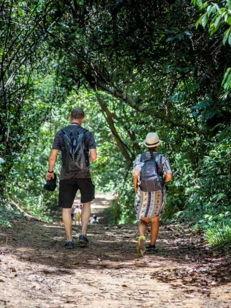 Trek dans la Jungle de Khao Sok – Découvrez la Magie de la Forêt Tropicale