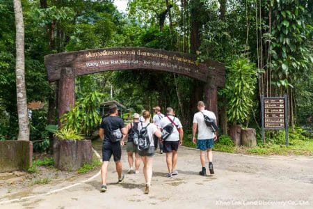 Khao Sok Dschungel Trekking- Entdecke Die Magie Des Regenwaldes