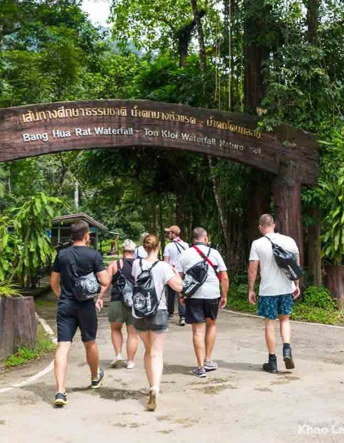 Khao Sok Dschungel Trekking – Entdecke Die Magie Des Regenwaldes