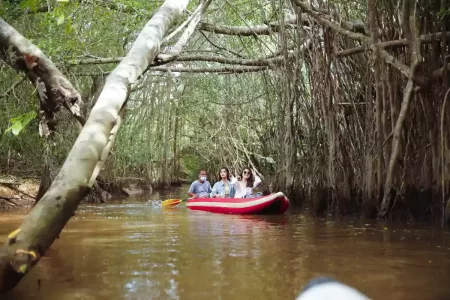 Takua Pa Old Town and Little Amazon – An Intriguing Journey Through Time and Nature