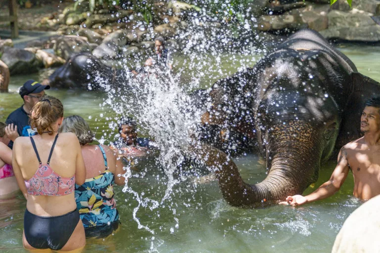 Elephant Bath Khao Lak — Ethical Half-Day Tour