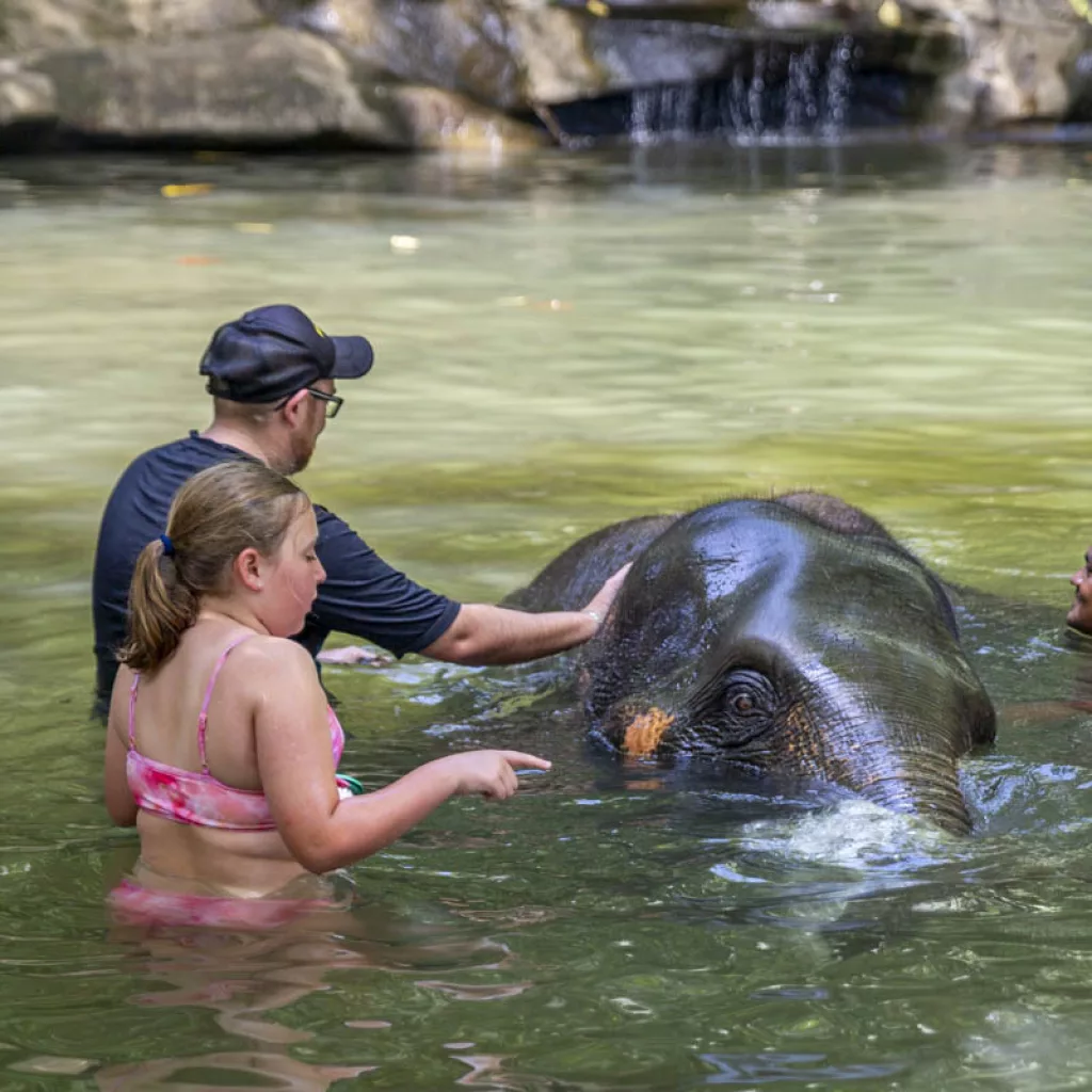 Khao Lak Elefanten Baden