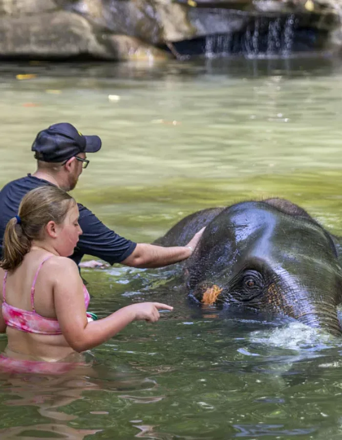 Khao Lak Elefanten-Bad — Ethische Elefantenpflege