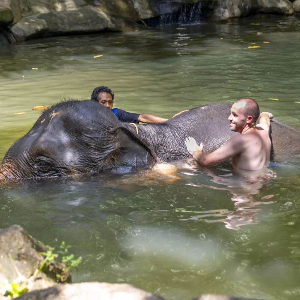Khao Lak Nature Safari with Elephant Bathing