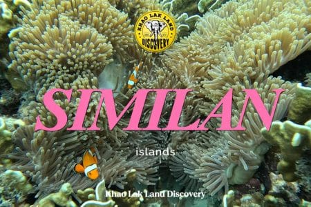 Things to Do on the Similan Islands: Complete 2026 Guide