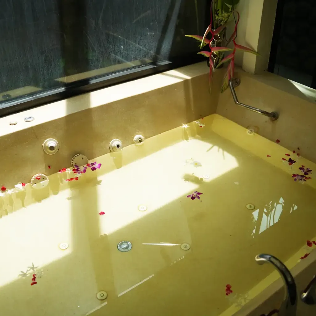 Sunlit soaking tub scattered with flower petals