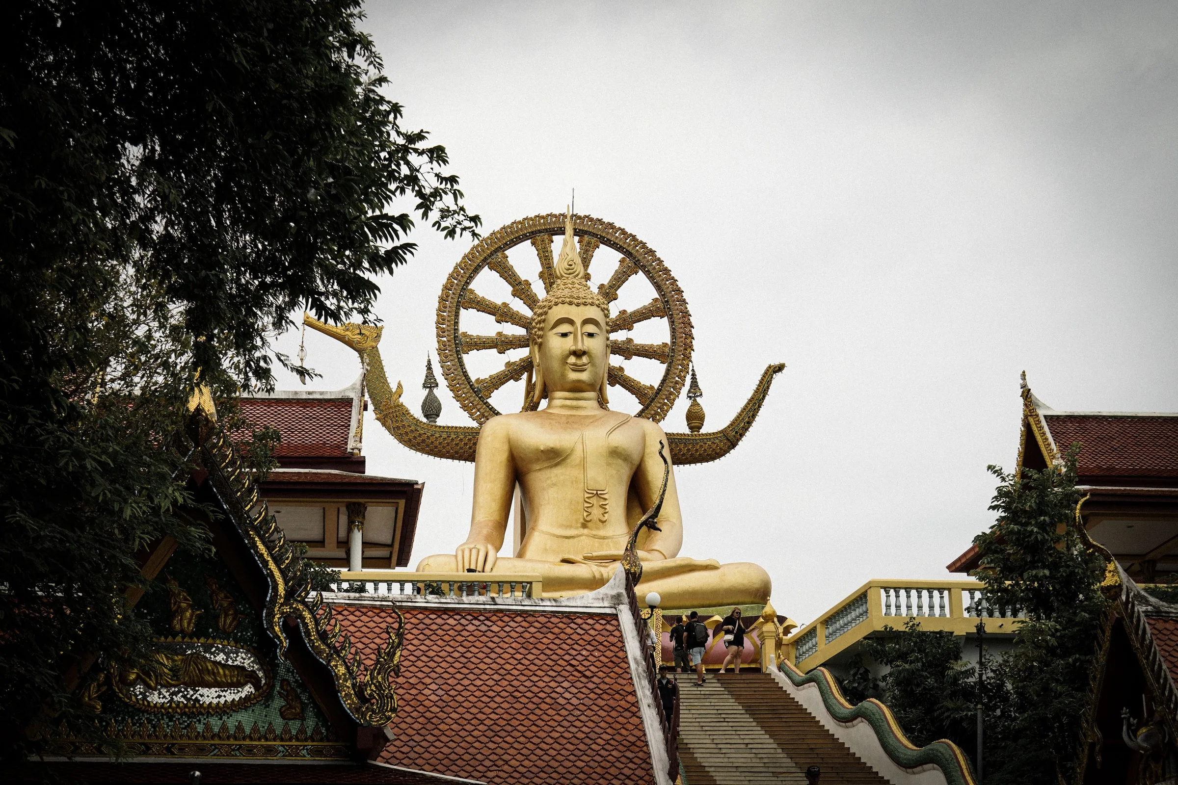 Que Faire À Koh Samui : 10 Meilleures Activités (Guide 2026)